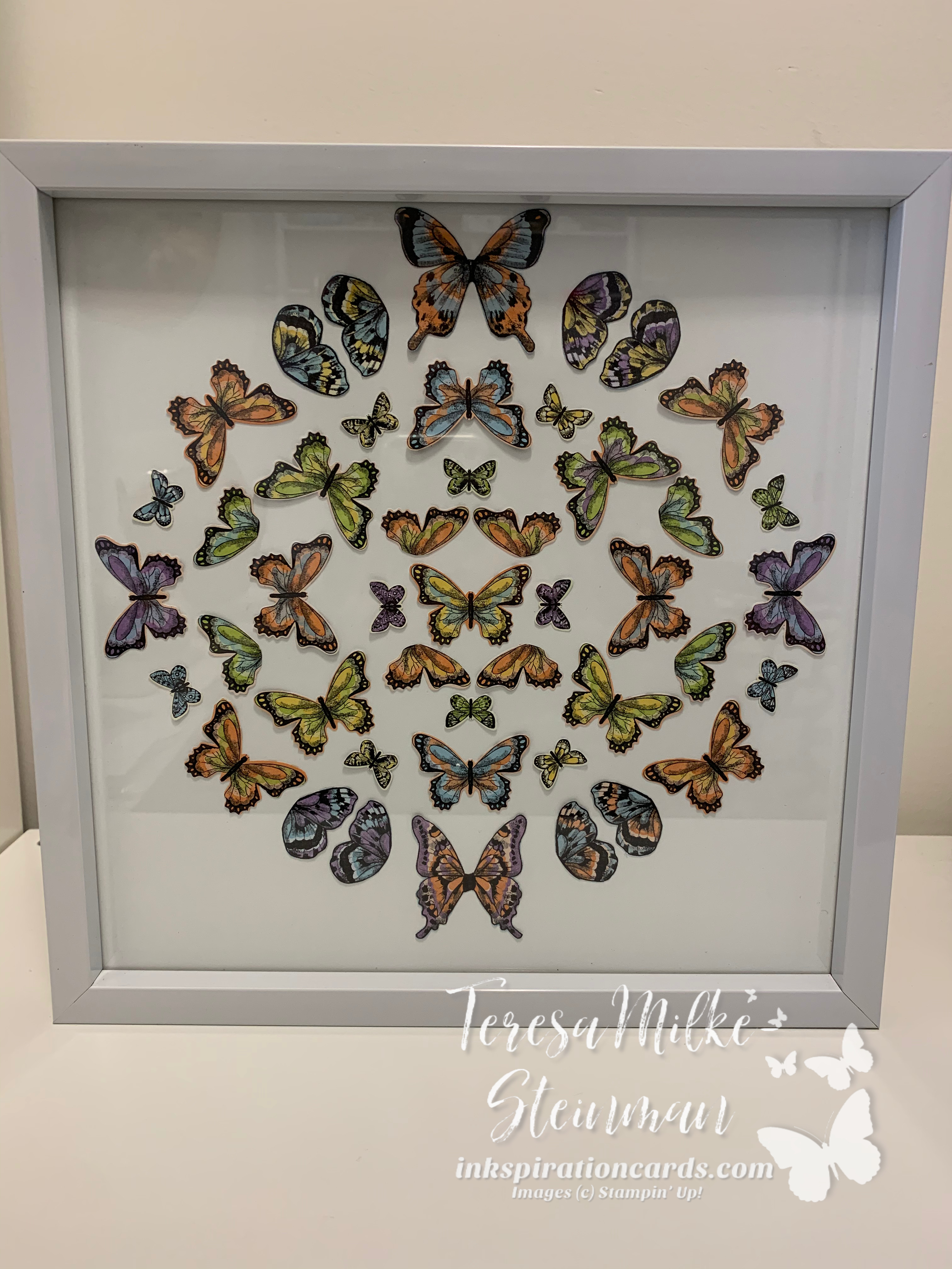 Framed Butterflies wm